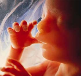 0-3 Yaş Döneminde Beyin Gelişimi