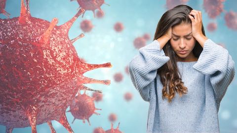 Domuz Gribi için Öneriler