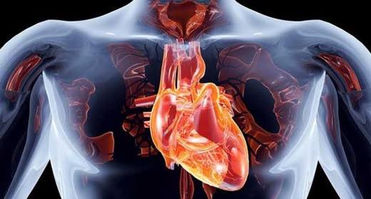 Etkili ve Kansız Bir Yöntem EECP