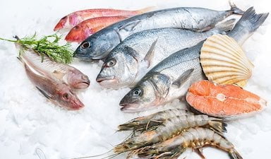 Hangi Ayda Hangi Balık