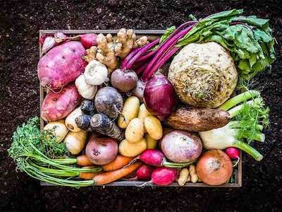 Kanser Koruyucu 10 Öneri