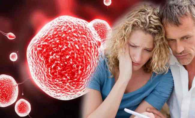 Kısırlık Çözümü Çikolata mı