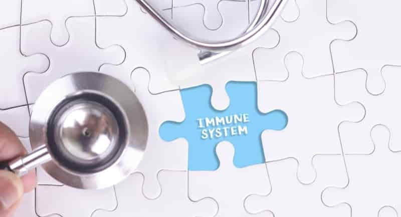 Sınav Başarısı Güçlü Bağışıklık Sistemi