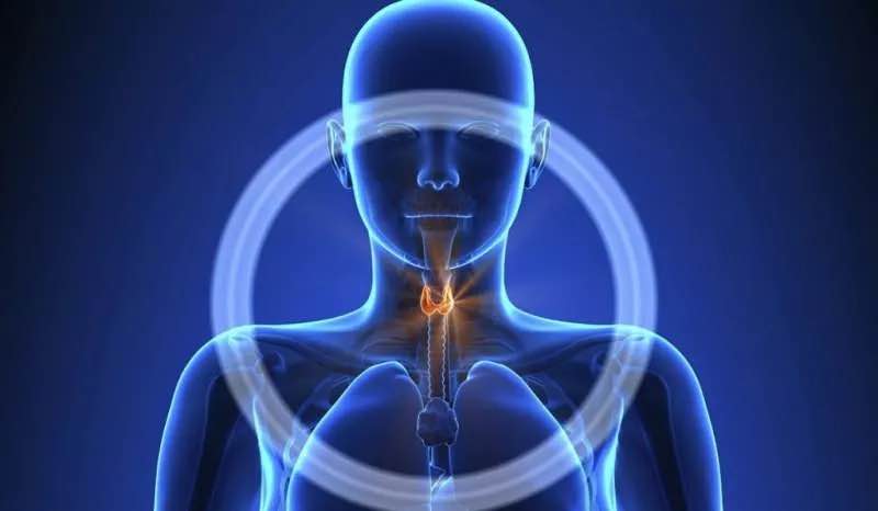 Türkiyenin Tiroid Tablosu