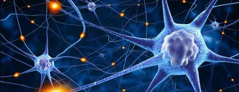 Zayıflık Sinir Yapıyor