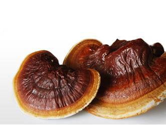 A’dan Z’ye Kanser