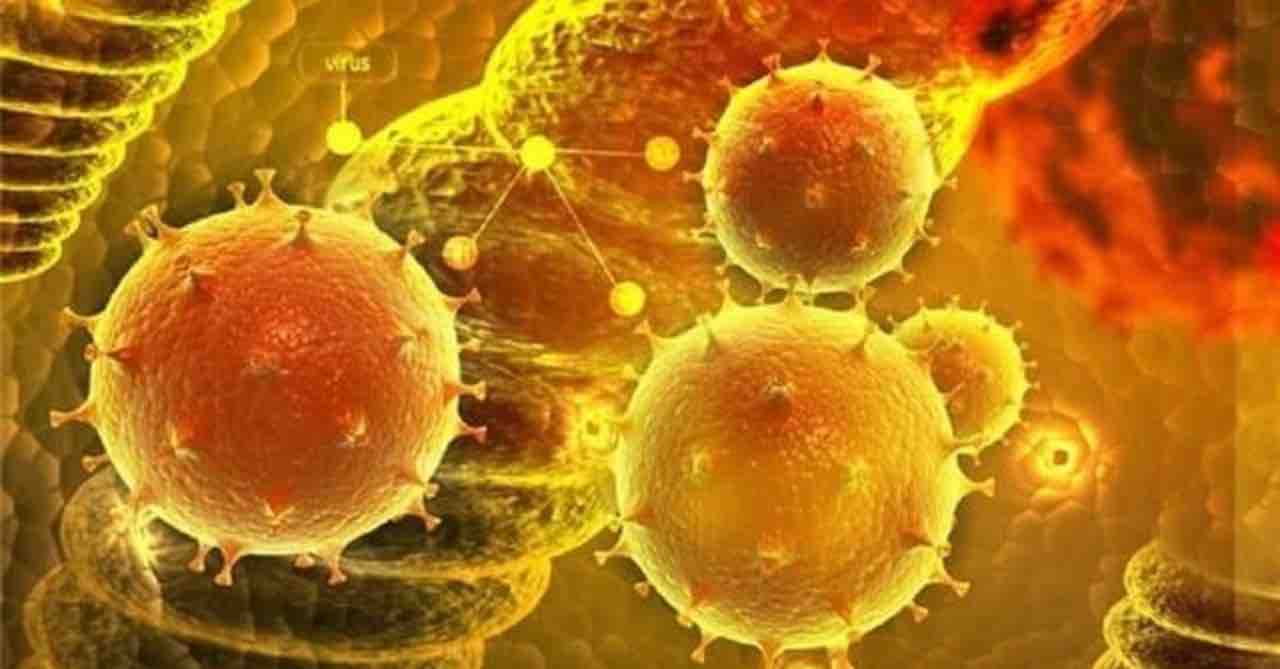 Bir de Hantavirüs Korkusu