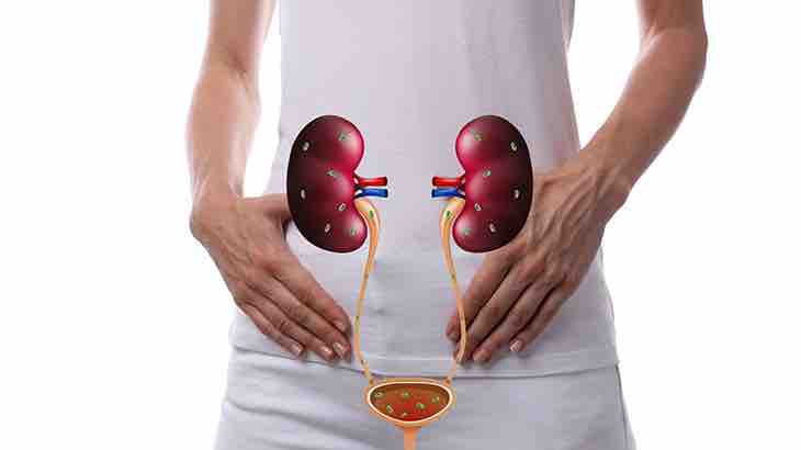 Kışın İdrar Yolu Enfeksiyonuna Dikkat