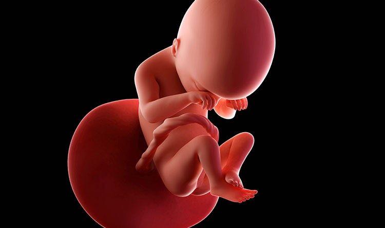 Tekrarlayan Gebelik Kayıpları