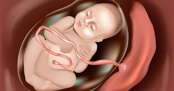 Hamilelik Sorunları Bebeği Etkiler