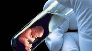 Tüp Bebekte Yeni Teknik