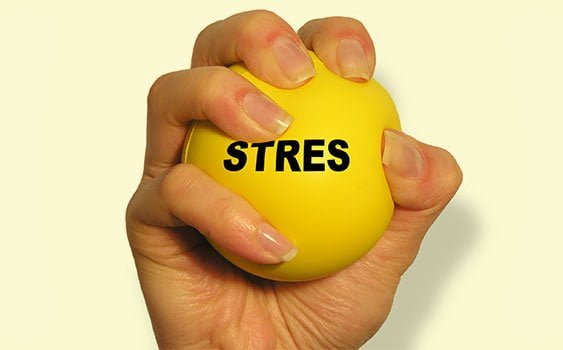 Baharda Stresten Arının