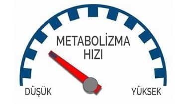 Metabolizma Hızı ve Kilo