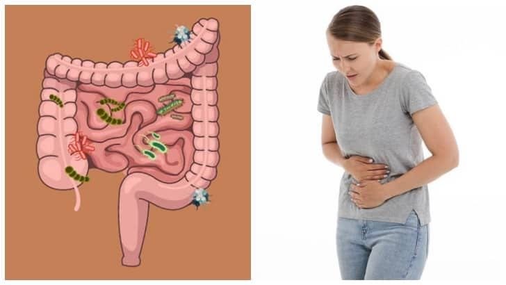 Bağırsaklar Hayatı Yönetir