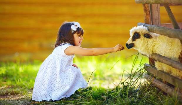 Kurban Bayramı ve Çocuk