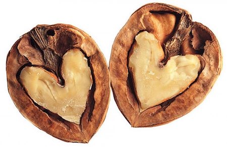 Sağlıklı Yaşam Sırrı Ceviz