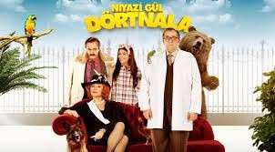 Niyazi Gül Dörtnala