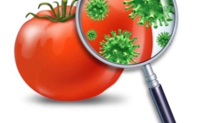 Gıda Zehirlenmesi Nedenleri