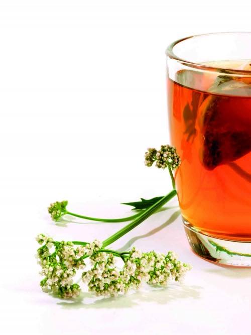 İç Isıtan Kış Çayları