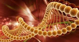 Kanser Tedavisinde İmmünoterapi