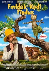 Fındık Kedi Findus