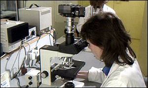 Lenfomayı Tetikleyen Etkenler