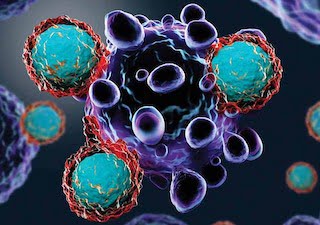 Ajanın Görevi Karaciğerdeki Kanseri Vurmak