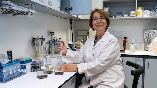 Gübredeki Antibiyotik Düşürülecek