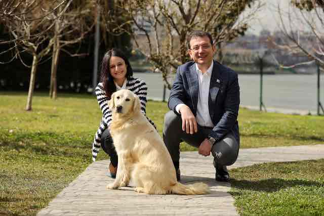 Sahipsiz Köpekler İçin Harekete Geçelim