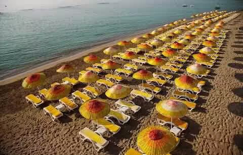 Sakin Tatil Düşleyenler Özel