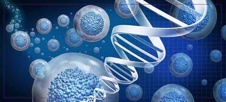 Kök Hücre-Eksozomla İlgili Güncel Yaklaşımlar