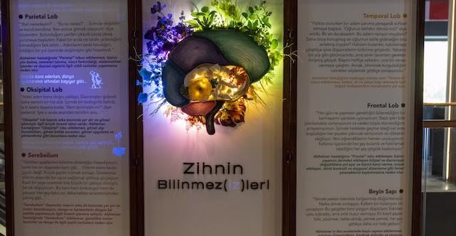 Zihnin Bilinmezleri Keşfediliyor 