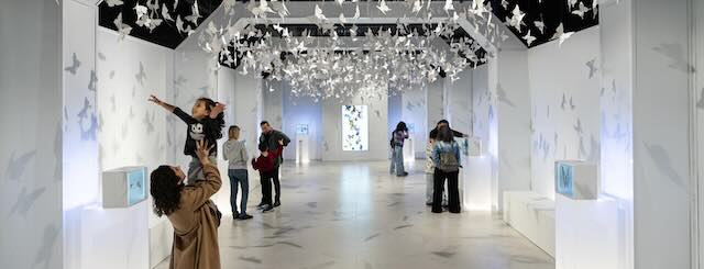 Eğlendirirken Öğreten Holografik Hayvanat Bahçesi İstanbul’da