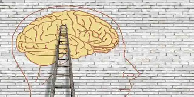 Psikoloji Eğitimi Düşünenler İçin Önemli Detaylar