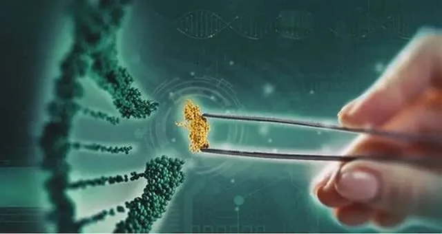 Türkiye’nin 40 Milyar Dolarlık ‘Köprü’ Fırsatı